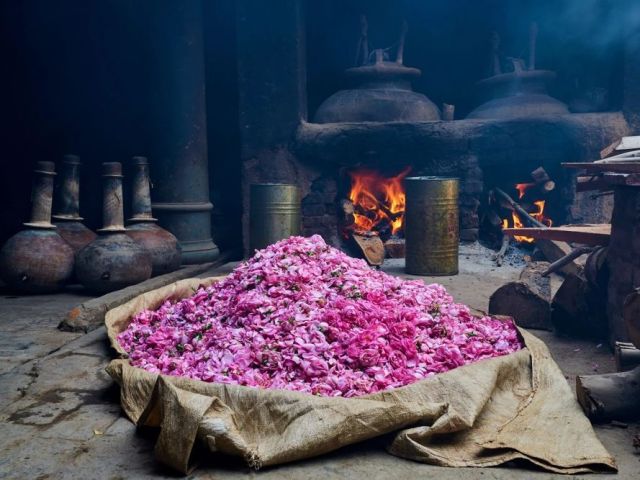 kannauj-perfume-wholesale