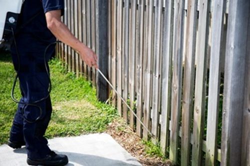 reliable-pest-control-jacksonville-services-big-0