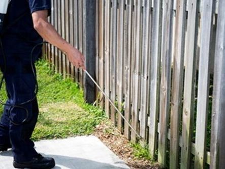 reliable-pest-control-jacksonville-services