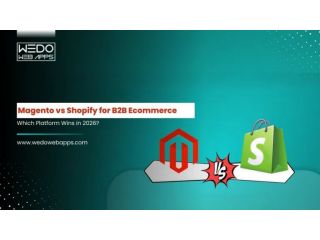 magento-vs-shopify-for-b2b-features-cost-scalability-small-0