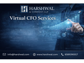 virtual-cfo-services-to-improve-profitability-small-0