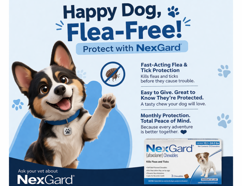 nexgard-chewable-for-dogs-get-20-off-free-shipping-big-0
