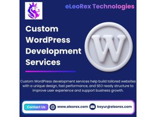 best-custom-wordpress-development-services-eleorex-technologies-small-0