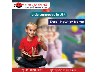 urdu-language-in-san-antonio-texas-small-0