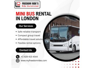 mini-bus-rental-in-london-gatwick-small-0