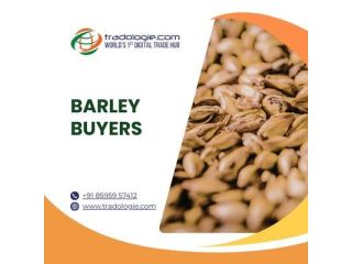 find-verified-barley-suppliers-for-bulk-orders-small-0