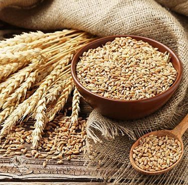 buy-bulk-wheat-directly-from-global-sellers-big-0