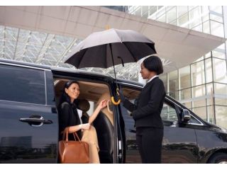 travel-like-a-vip-with-a-den-airport-limo-small-0