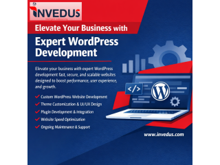 drive-business-growth-with-professional-wordpress-development-small-0