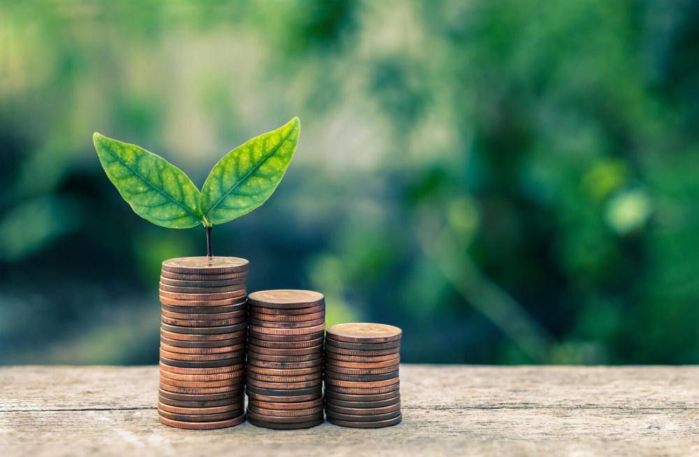 key-things-to-check-before-buying-finance-wordpress-themes-big-0