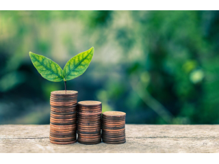 key-things-to-check-before-buying-finance-wordpress-themes-small-0