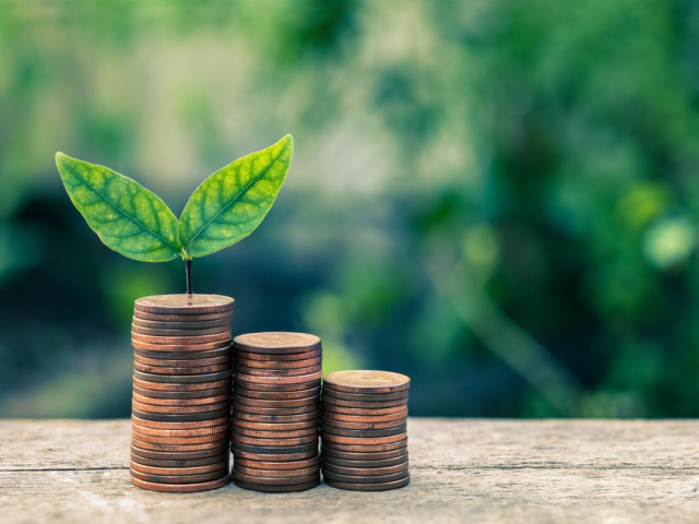 key-things-to-check-before-buying-finance-wordpress-themes