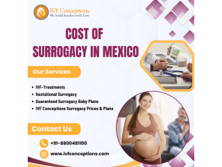 cost-of-surrogacy-in-mexico-small-0