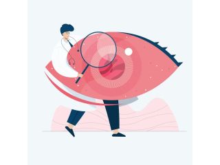 trusted-retina-specialists-in-idaho-for-advanced-eye-care-small-0