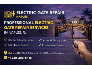 professional-electric-gate-repair-services-in-naples-fl-small-0