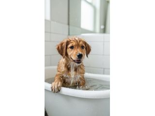 gentle-dog-washing-care-for-clean-and-happy-pets-small-0