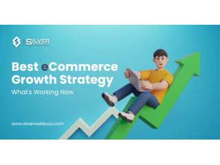 boost-your-ecommerce-growth-with-silver-webbuzz-small-0