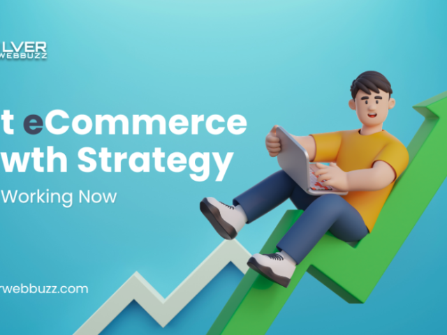 boost-your-ecommerce-growth-with-silver-webbuzz