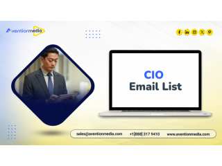 grab-a-conversionready-cio-email-list-small-0