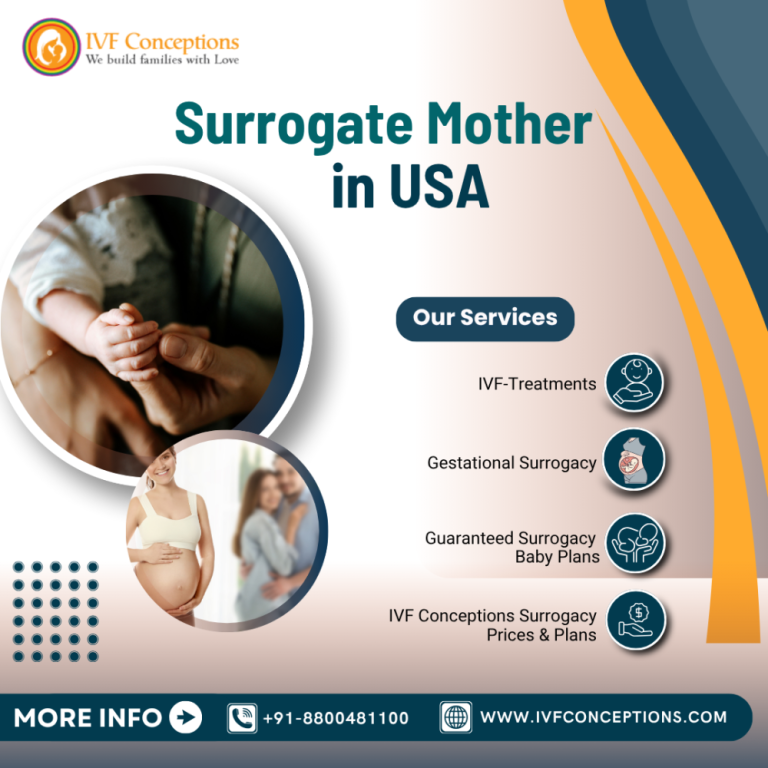 surrogate-mother-in-usa-big-0