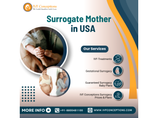 surrogate-mother-in-usa-small-0