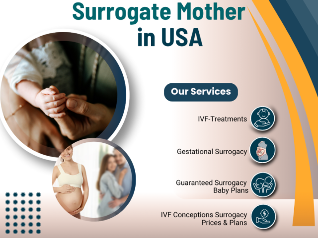 surrogate-mother-in-usa