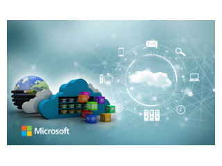 local-microsoft-partner-small-0