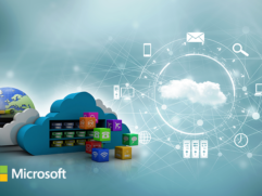 local-microsoft-partner