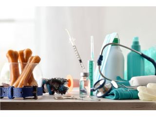 affordable-dog-surgery-trusted-emergency-vet-in-encino-small-0