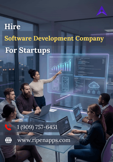 hire-software-development-company-for-startups-ripenapps-big-0
