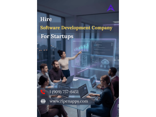hire-software-development-company-for-startups-ripenapps-small-0