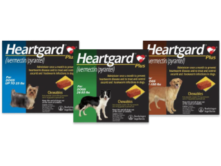 heartgard-plus-for-dogs-20-off-free-shipping-petcareclub-small-0