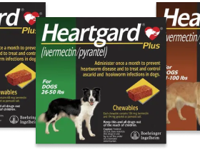 heartgard-plus-for-dogs-20-off-free-shipping-petcareclub