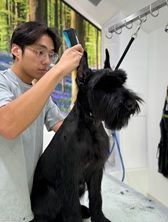 top-rated-dog-grooming-spa-packages-in-usa-big-0