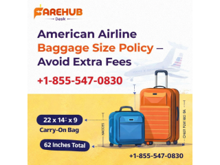 american-airline-baggage-size-policy-avoid-extra-fees-small-0