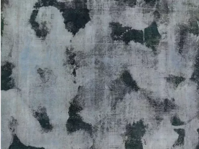 10x11-vintage-distressed-overdyed-persian-area-rug-109741