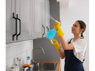 home-cleaning-services-orlando-for-easy-home-care-small-0