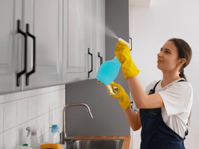 home-cleaning-services-orlando-for-easy-home-care