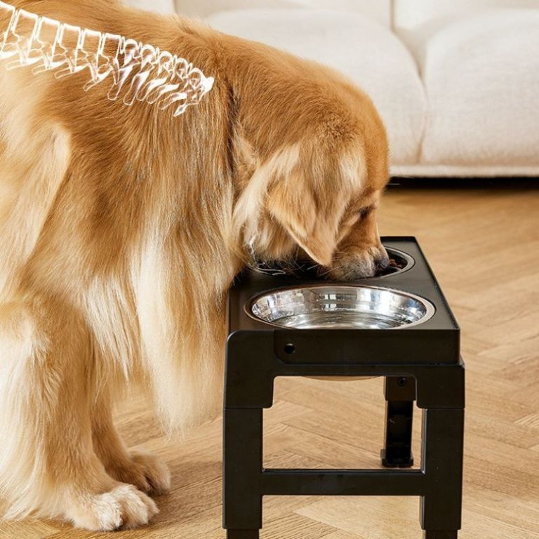 durable-dog-bowls-for-large-breeds-noka-aurorastone-big-1