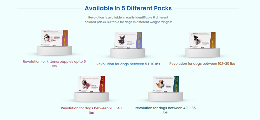 revolution-plus-20-coupon-discount-55-cart-discount-big-0