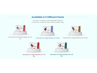 revolution-plus-20-coupon-discount-55-cart-discount-small-0