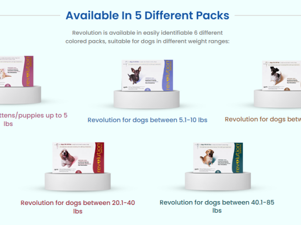 revolution-plus-20-coupon-discount-55-cart-discount