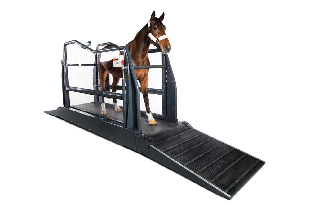 buy-horse-vibration-plates-for-rehabilitation-for-faster-recovery-big-0