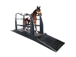 buy-horse-vibration-plates-for-rehabilitation-for-faster-recovery-small-0