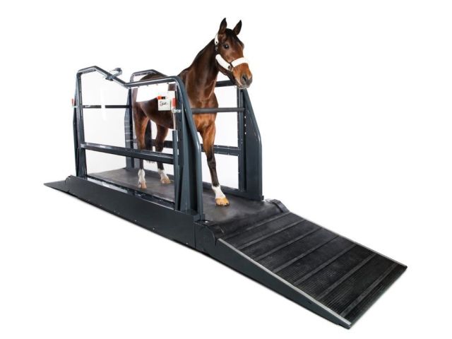 buy-horse-vibration-plates-for-rehabilitation-for-faster-recovery