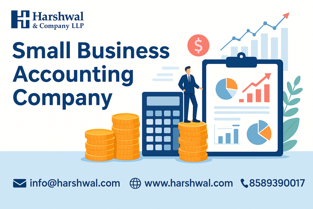 professional-small-business-accounting-company-big-0