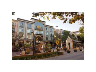marin-county-tenant-representation-services-small-0