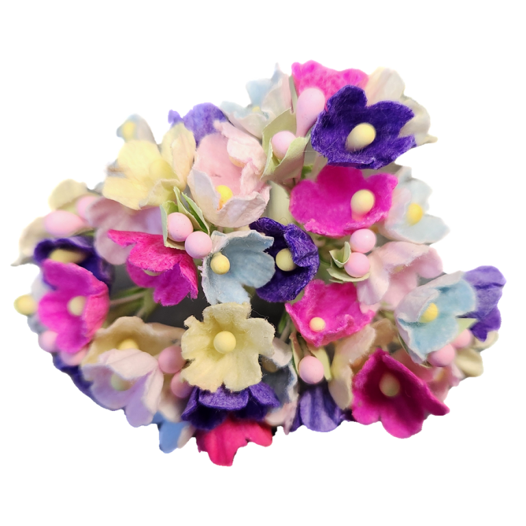 buy-window-flowers-boxes-for-spring-season-fast-shipping-usa-big-0