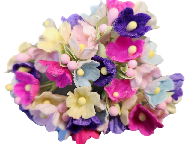 buy-window-flowers-boxes-for-spring-season-fast-shipping-usa