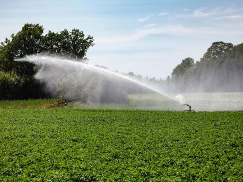 reliable-irrigation-consulting-solutions-for-smart-landscapes-now-big-1